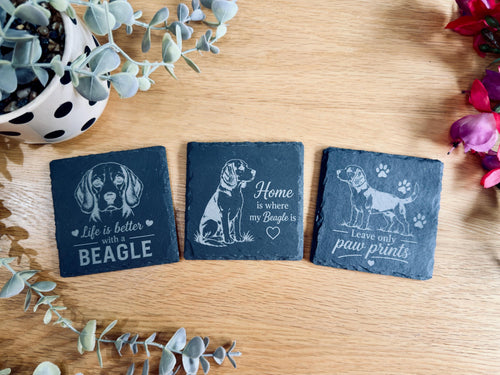 Beagle Slate Coasters – 6 Designs with Holder (Set of 6)